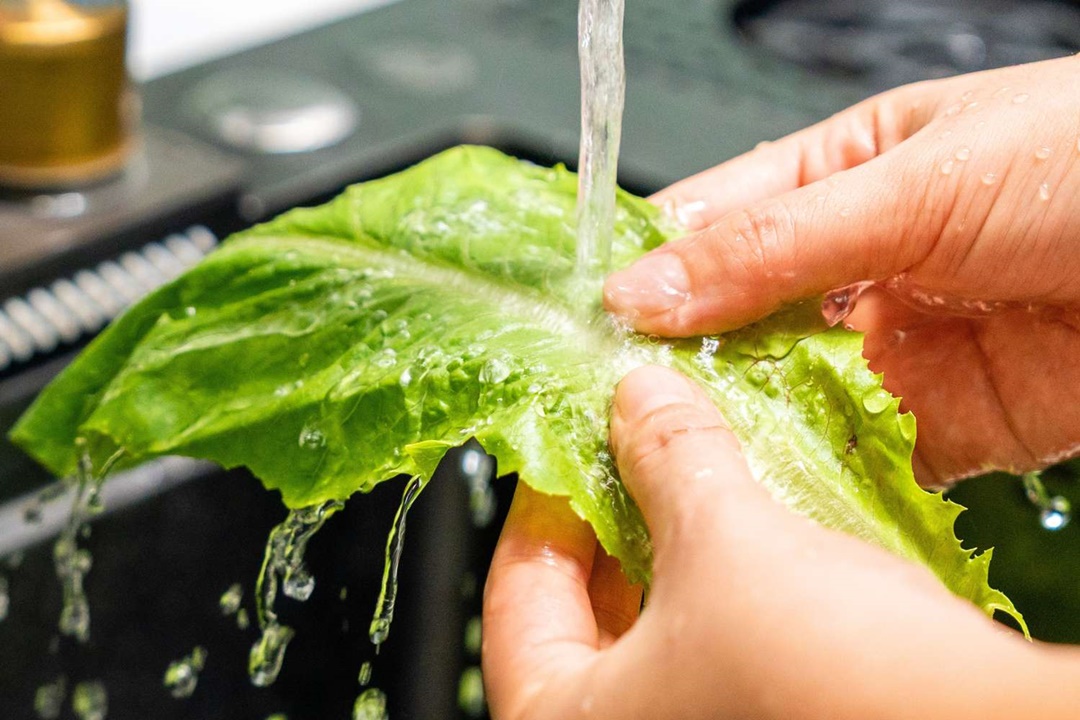 Nên lập tức kiểm tra chất lượng nếu nguồn nước sinh hoạt có mùi lạ